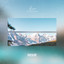 Liar cover