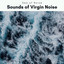 2 0 2 2 Sounds of Virgin Noise cover