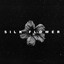 Silk Flower feat. Sascha Naomi