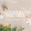 Underneath the Tree - Acoustic cover