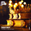 Destiny (feat. MC Activate) - Extended Mix