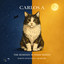 Summer Nights - Martin Di Sciascio Remix