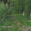 Gadi cover