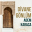 Duyan Olmadı cover