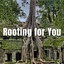 Rooting for You cover