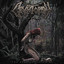 Detritivor - Bleed And Butchered