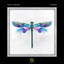 Julie Hanney - Wings