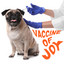 Vaccine of Joy cover
