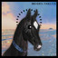 Brenda — Thievery cover art