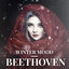 Winter Mood - Beethoven cover