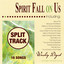 Spirit Fall on Us (Whole Hearted Worship) [Split Tracks] cover