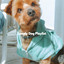 Lonely Dog Playlist cover