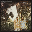 Young Gun Silver Fox - Chances Are