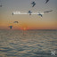 Melodic Ocean Sounds for Meditative Relaxation cover