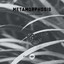 Metamorphosis (DJ Mix) cover