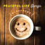 PEACEFUL LIFE Songs～きっといい日になる～ cover