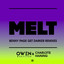 Melt - Benny Page VIP Remix artwork