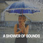 A Shower of Sounds cover
