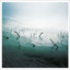 Sefton — Stranded In Passion (Maceo Plex Remix) cover art