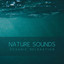 Nature Sounds Oceanic Relaxation cover