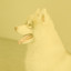 Marvellous Background for Doggy Chill cover