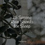 25 Serene Rain Sounds for Sleep cover