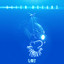 Aquamarine Landform cover
