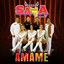 Ámame - Versión 2024 cover