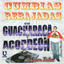 INSTRUMENTALES -- Cajita De Cumbia - Grupo Terremoto