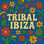 Mas Que Nada - Funky Tribal Mix