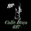 Calle Boca Ft endee