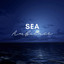 Sea Ambience cover