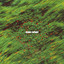 Even When - NorthRock Worship