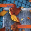 Ramizem cover