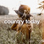 Country Today cover