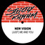 NEW VISION - (JUST) ME AND YOU (JOEY NEGRO MIX)