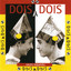 Roda Pião cover