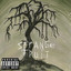 Strange Fruit