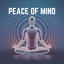 Peace of Mind cover