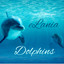 Dolphins cover