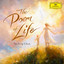 Yu-Peng Chen, Shanghai Philharmonic Orchestra, Liang ZHANG - Waltz of the Fireflies