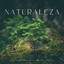 Naturaleza: Sonidos Terapéuticos Del Viento cover