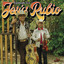 Cobardemente cover