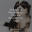 50 Soothing Recordings for Yoga and Relaxation For Dogs cover