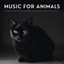 Music For Animals: Serene Ocean Water Sounds To Make Your Pets Fall Asleep cover