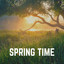 Spring Time cover