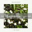 Calm Noise Of Colors For Hard Chillout Night cover