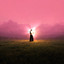 ALEX WYSE - LOVE