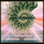 Beautiful Star - Montez Psy Remix