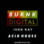 Acid House